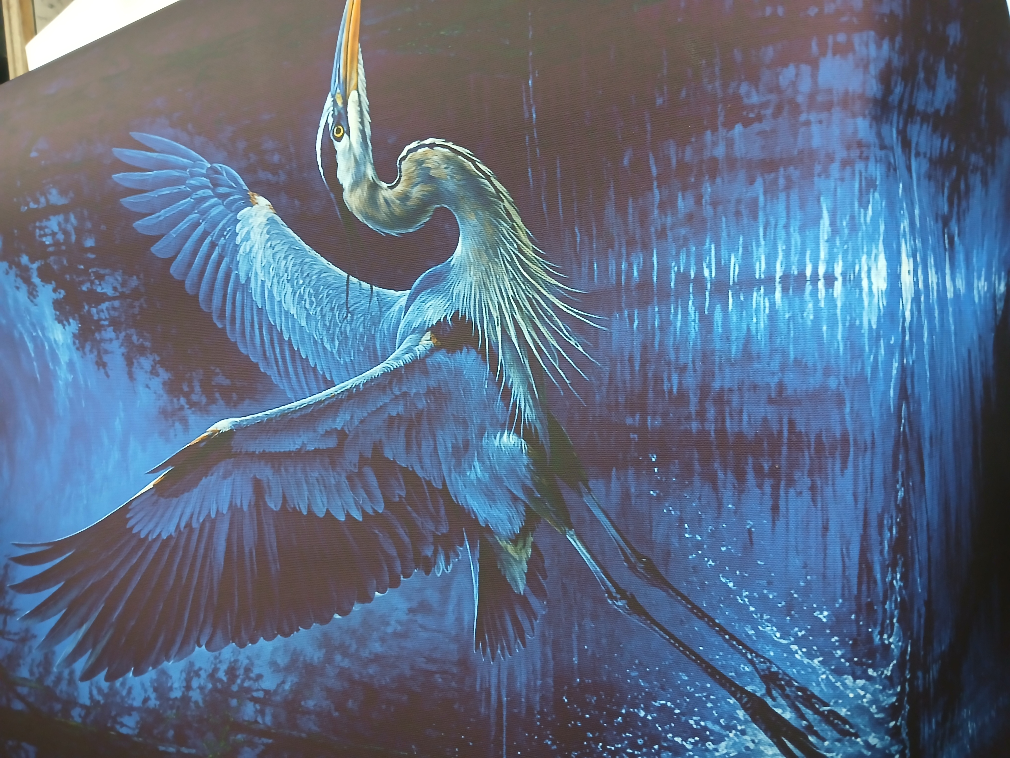 Blue heron