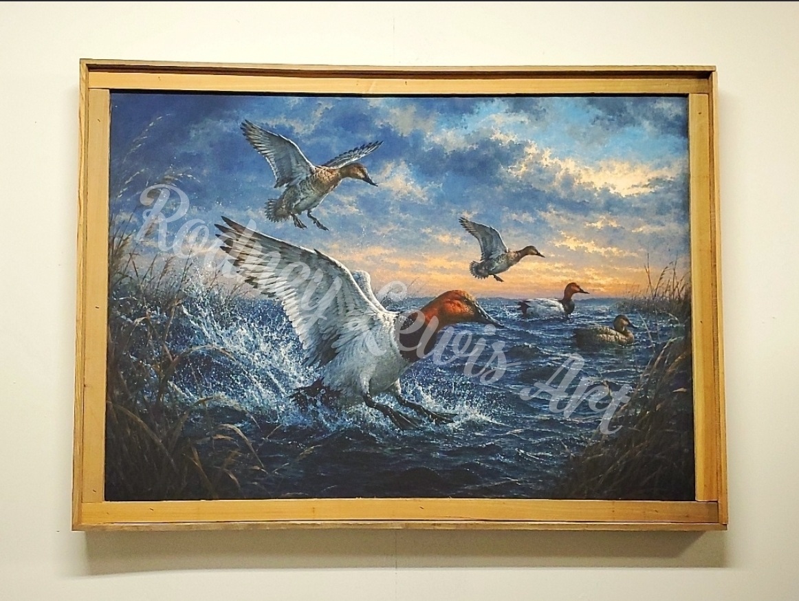 Redheads on the Marsh